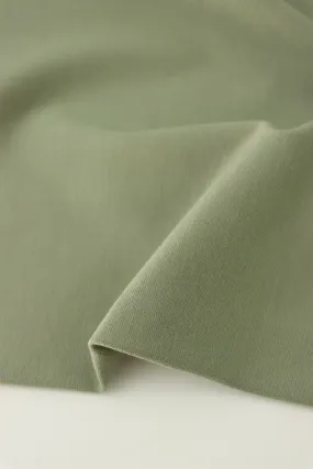 1YD 19IN REMNANT; Sage Viscose Nylon Ponte