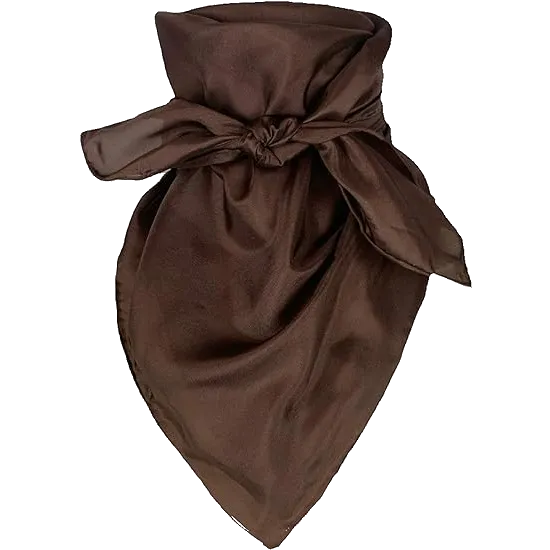 Solid Silk Scarves