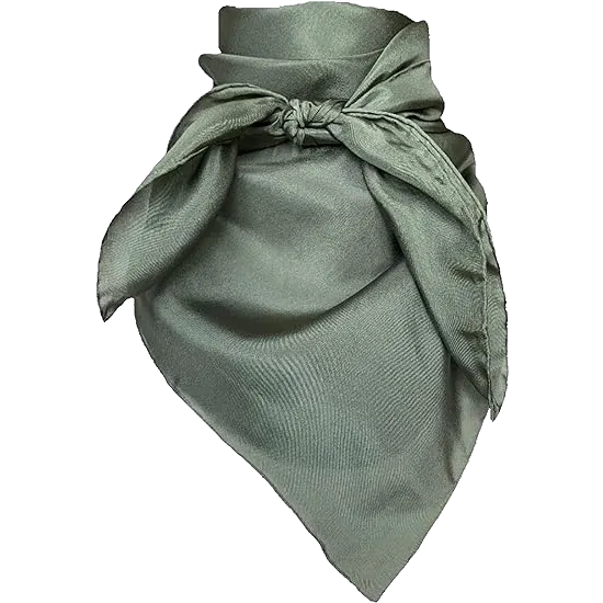 Solid Silk Scarves