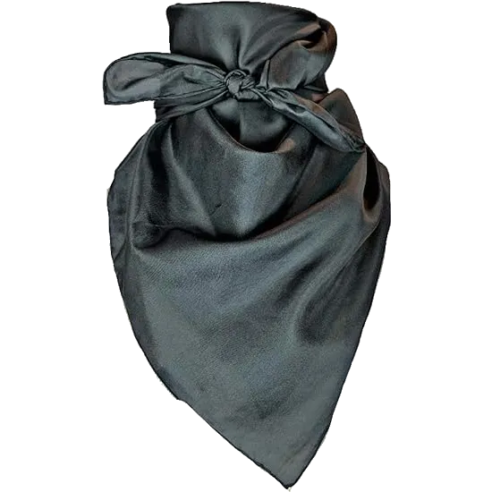 Solid Silk Scarves